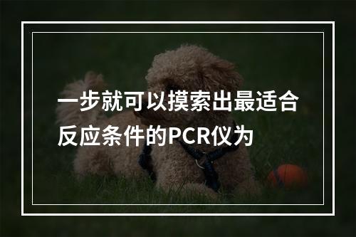 一步就可以摸索出最适合反应条件的PCR仪为