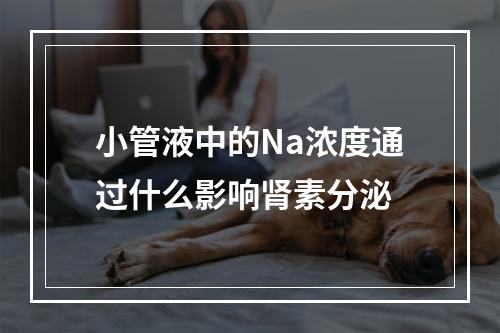 小管液中的Na浓度通过什么影响肾素分泌