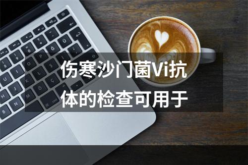 伤寒沙门菌Vi抗体的检查可用于