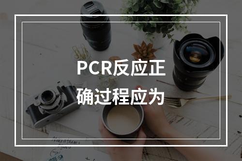 PCR反应正确过程应为