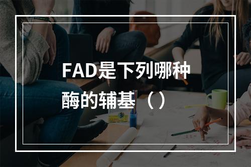 FAD是下列哪种酶的辅基（ ）