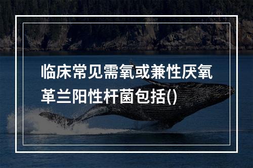 临床常见需氧或兼性厌氧革兰阳性杆菌包括()