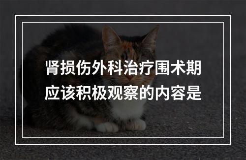 肾损伤外科治疗围术期应该积极观察的内容是