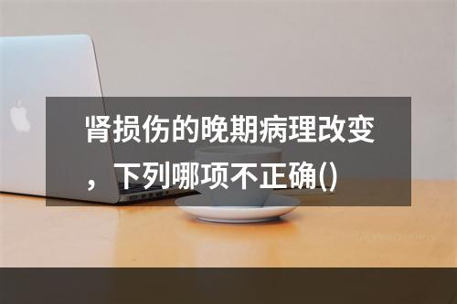 肾损伤的晚期病理改变，下列哪项不正确()