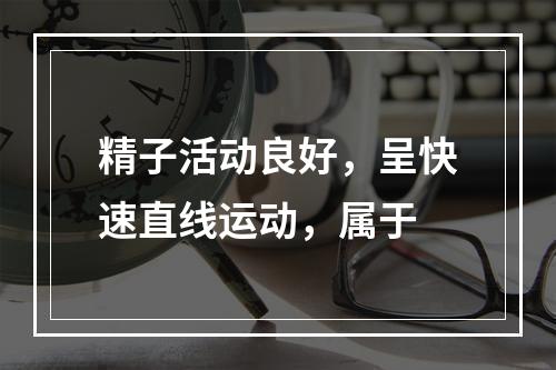 精子活动良好，呈快速直线运动，属于