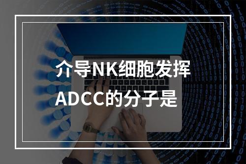 介导NK细胞发挥ADCC的分子是