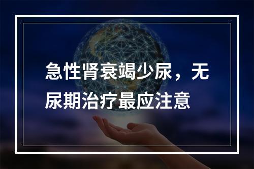 急性肾衰竭少尿，无尿期治疗最应注意