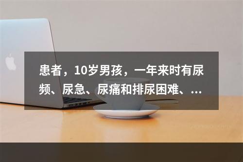 患者，10岁男孩，一年来时有尿频、尿急、尿痛和排尿困难、尿流