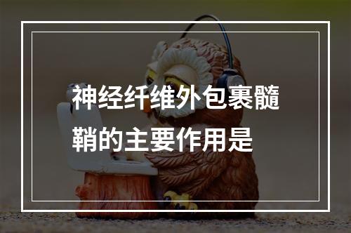 神经纤维外包裹髓鞘的主要作用是