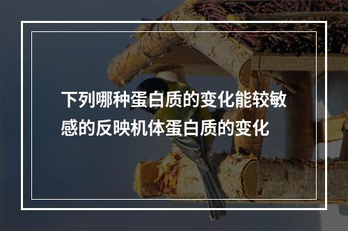 下列哪种蛋白质的变化能较敏感的反映机体蛋白质的变化