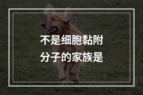 不是细胞黏附分子的家族是