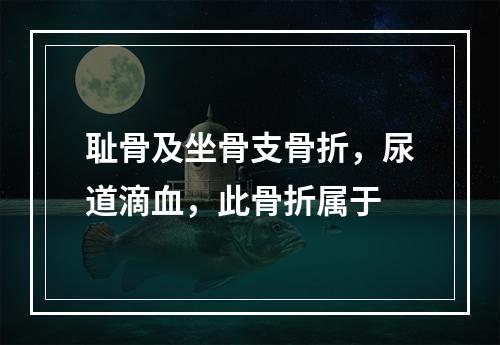 耻骨及坐骨支骨折，尿道滴血，此骨折属于