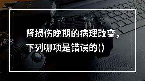 肾损伤晚期的病理改变，下列哪项是错误的()