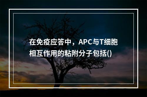 在免疫应答中，APC与T细胞相互作用的粘附分子包括()