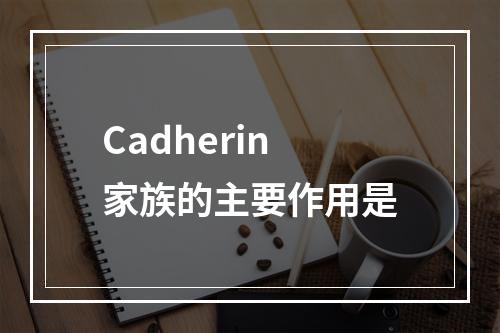 Cadherin家族的主要作用是