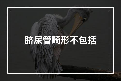 脐尿管畸形不包括