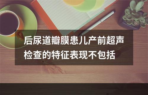 后尿道瓣膜患儿产前超声检查的特征表现不包括