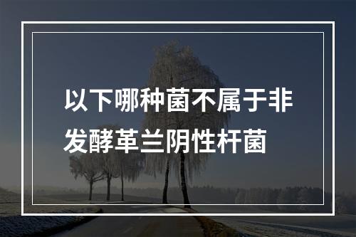 以下哪种菌不属于非发酵革兰阴性杆菌