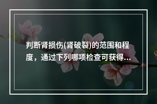 判断肾损伤(肾破裂)的范围和程度，通过下列哪项检查可获得有力