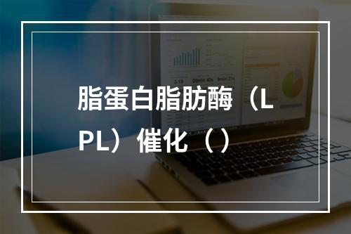 脂蛋白脂肪酶（LPL）催化（ ）