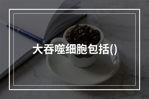 大吞噬细胞包括()