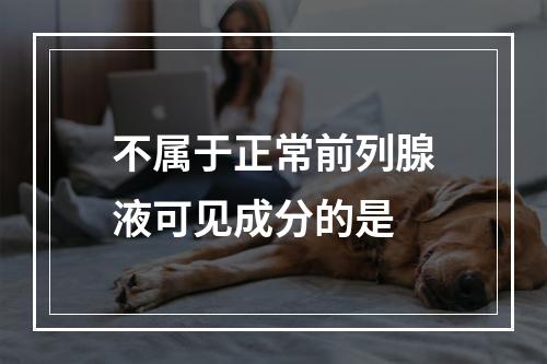 不属于正常前列腺液可见成分的是