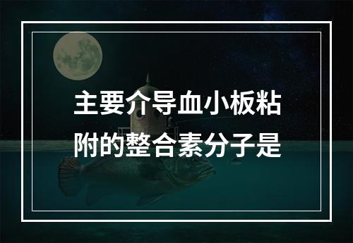 主要介导血小板粘附的整合素分子是