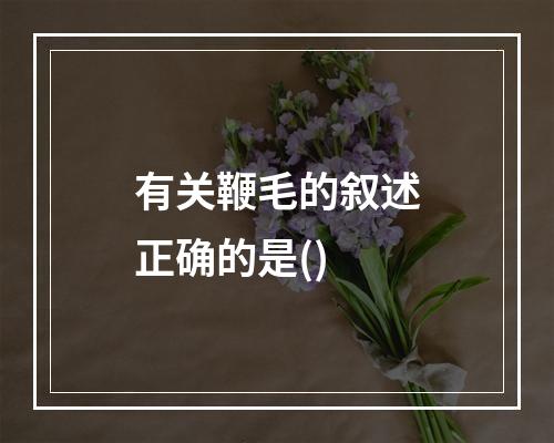 有关鞭毛的叙述正确的是()