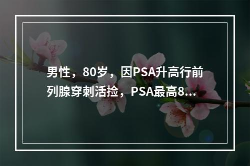 男性，80岁，因PSA升高行前列腺穿刺活捡，PSA最高8ng