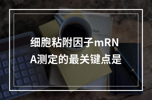 细胞粘附因子mRNA测定的最关键点是