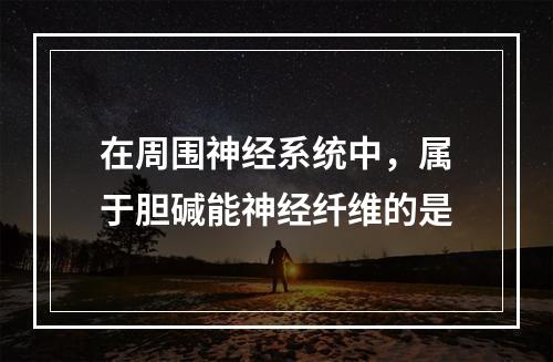 在周围神经系统中，属于胆碱能神经纤维的是