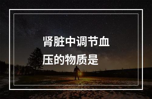 肾脏中调节血压的物质是