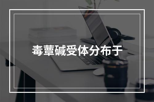 毒蕈碱受体分布于