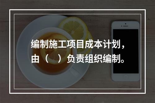 编制施工项目成本计划，由（　）负责组织编制。