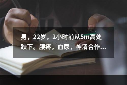 男，22岁，2小时前从5m高处跌下。腰疼，血尿，神清合作。血