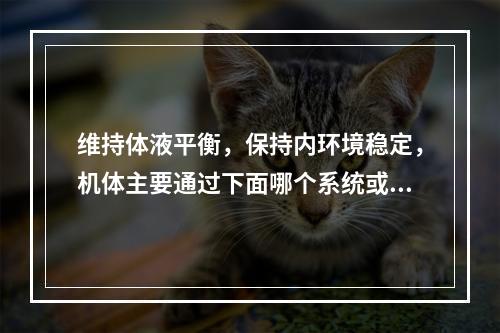 维持体液平衡，保持内环境稳定，机体主要通过下面哪个系统或器官