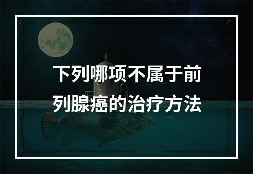 下列哪项不属于前列腺癌的治疗方法