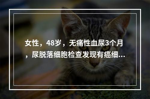 女性，48岁，无痛性血尿3个月，尿脱落细胞检查发现有癌细胞，