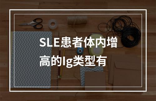 SLE患者体内增高的Ig类型有