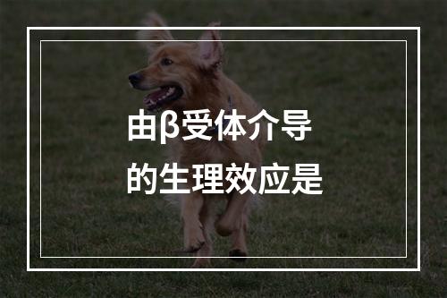 由β受体介导的生理效应是