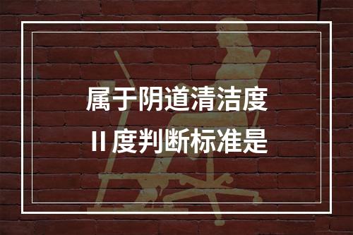 属于阴道清洁度Ⅱ度判断标准是