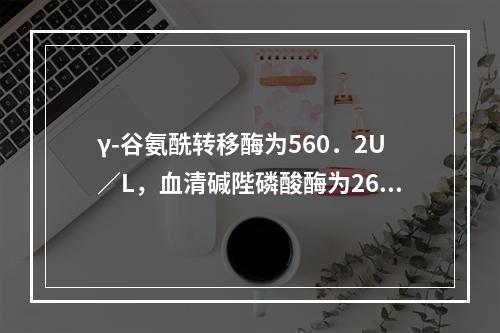 γ-谷氨酰转移酶为560．2U／L，血清碱陛磷酸酶为267．