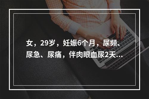 女，29岁，妊娠6个月，尿频、尿急、尿痛，伴肉眼血尿2天，体