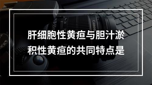 肝细胞性黄疸与胆汁淤积性黄疸的共同特点是