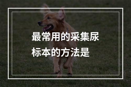 最常用的采集尿标本的方法是