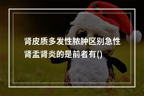 肾皮质多发性脓肿区别急性肾盂肾炎的是前者有()