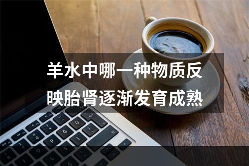 羊水中哪一种物质反映胎肾逐渐发育成熟