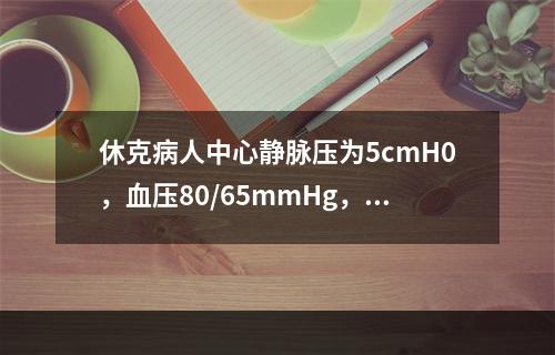 休克病人中心静脉压为5cmH0，血压80/65mmHg，处理