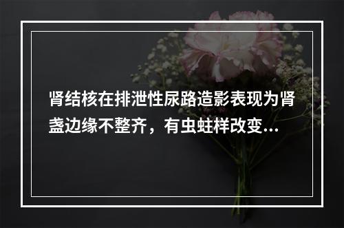 肾结核在排泄性尿路造影表现为肾盏边缘不整齐，有虫蛀样改变时，