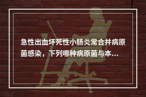 急性出血坏死性小肠炎常合并病原菌感染，下列哪种病原菌与本病无